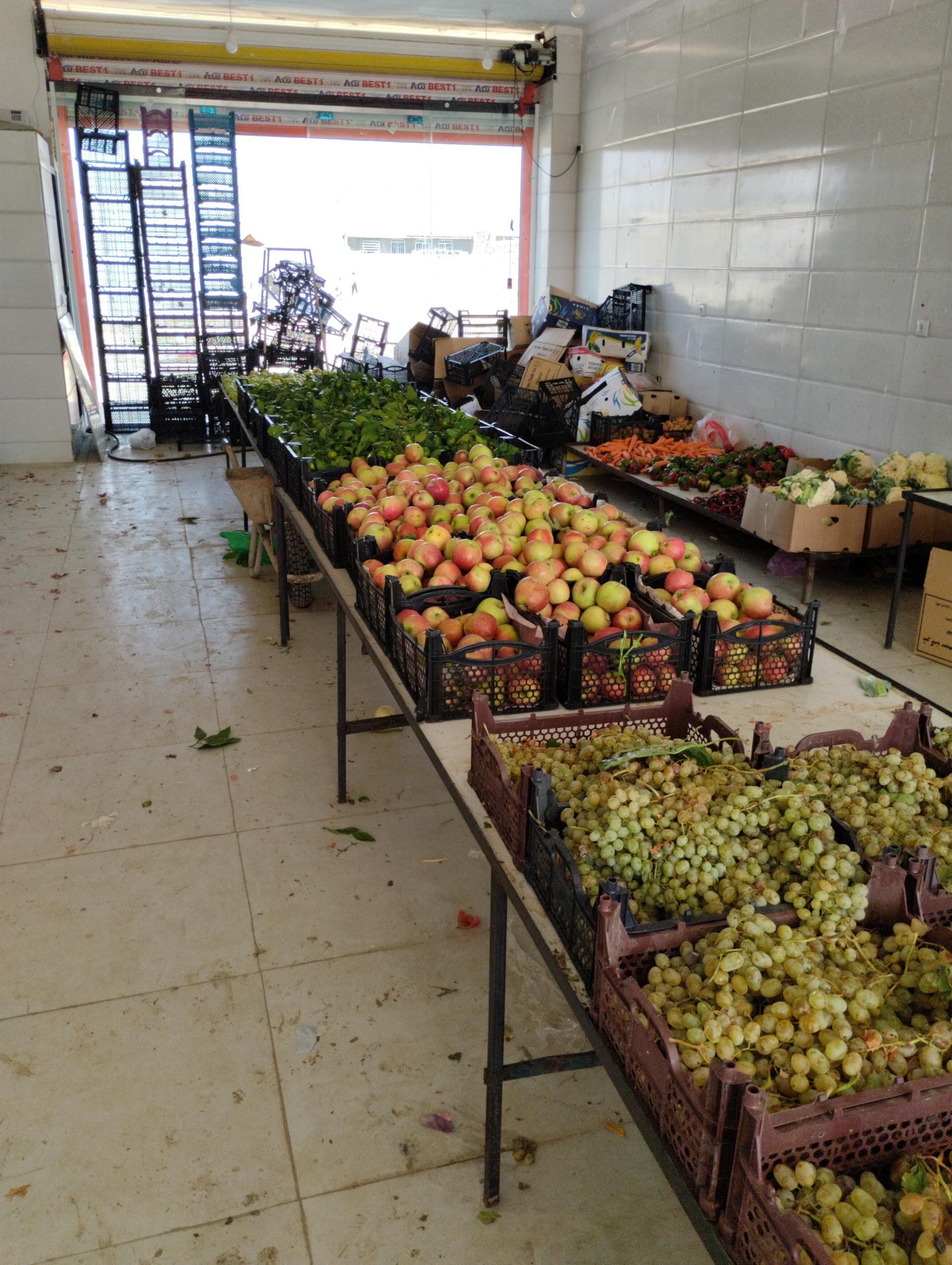 عکس میوه و تره بار محرم نیکبخت