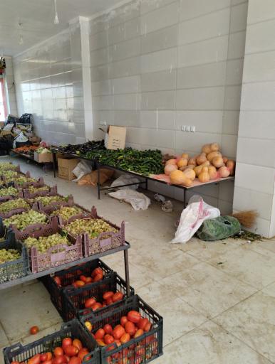 عکس میوه و تره بار محرم نیکبخت