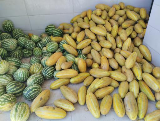 عکس میوه و تره بار محرم نیکبخت