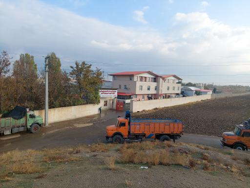 عکس قارچ کیمیای البرز