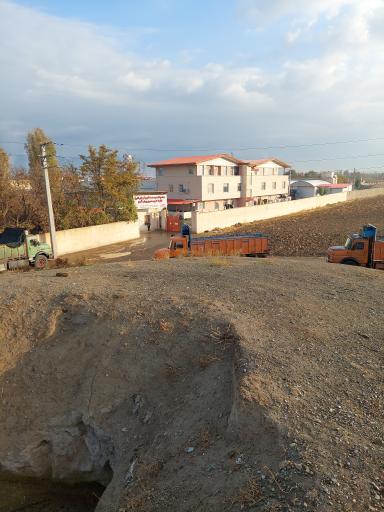 عکس قارچ کیمیای البرز