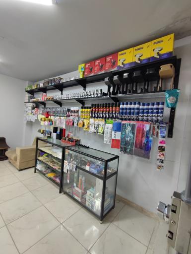 عکس تزئینات خودرو پرشین