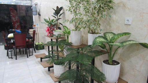 عکس رستوران خاله ریزه