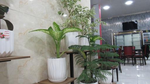 عکس رستوران خاله ریزه