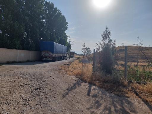 عکس قارچ کیمیای البرز