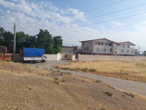 عکس قارچ کیمیای البرز