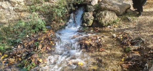 عکس آبشار شار شار (اسطرخی)