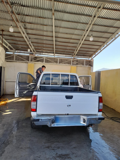 عکس کارواش قو 