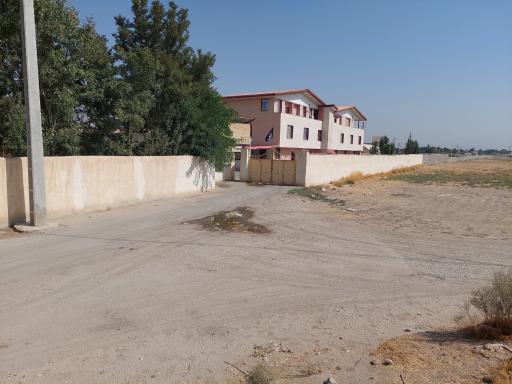 عکس قارچ کیمیای البرز