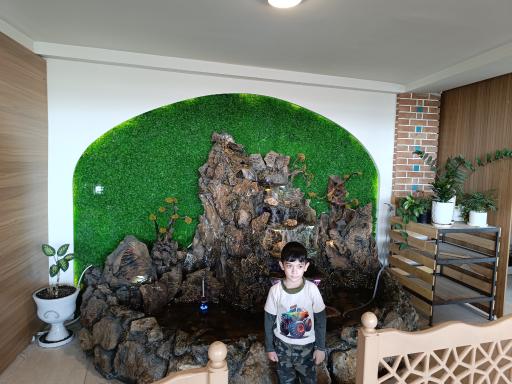 عکس جگرسرای ببعی