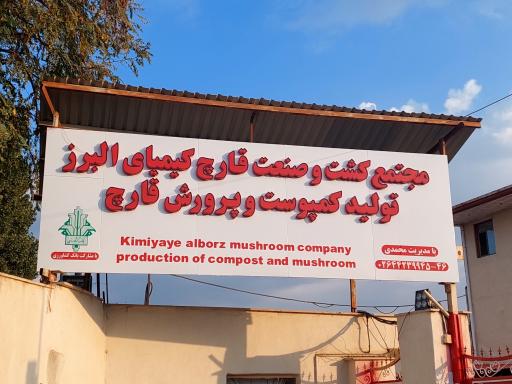 قارچ کیمیای البرز