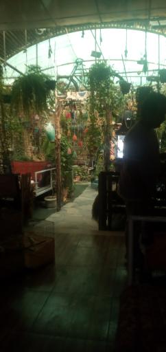 عکس کافه نان و ریحون