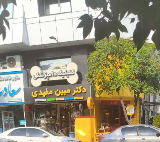 دکتر مبین مفیدی