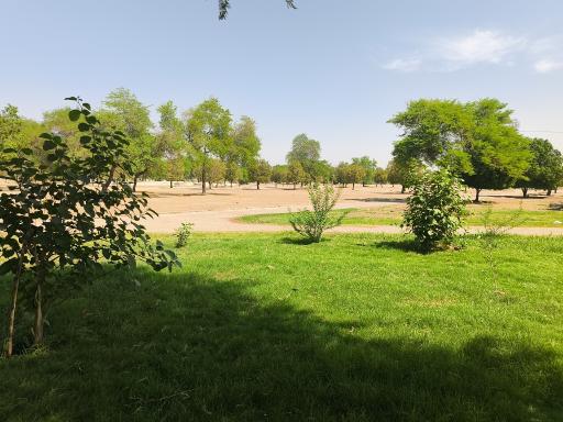 پارک محله ای شهدا