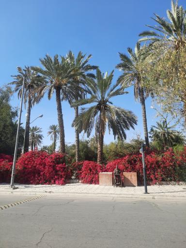 عکس باغ ملی لار