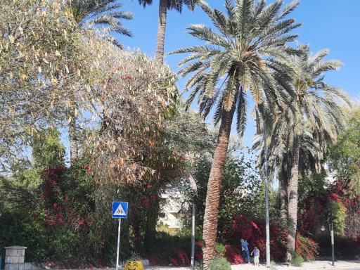 عکس باغ ملی لار