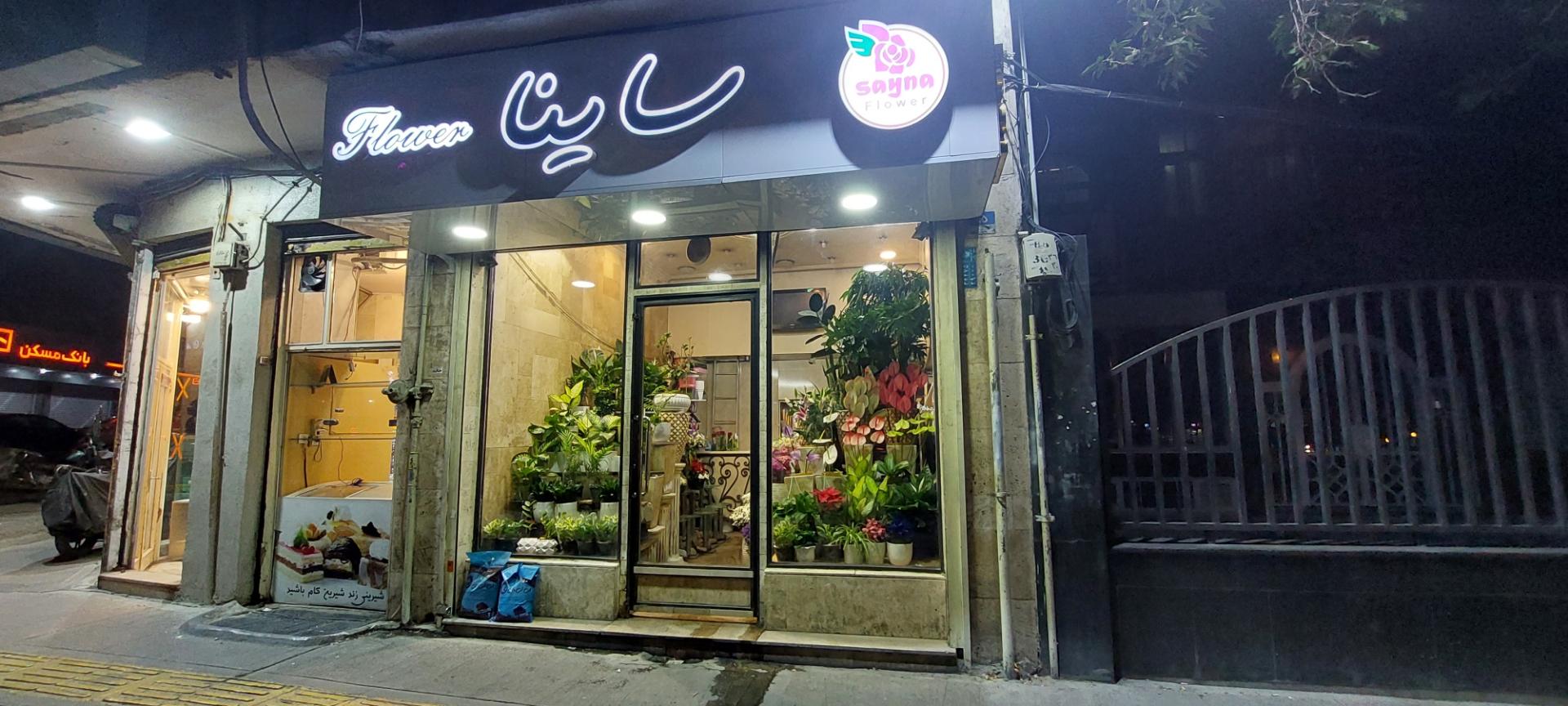 عکس گل ساینا