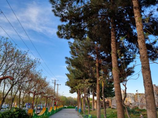 عکس پارک شهید سلمانی