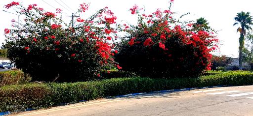 عکس هتل آذین