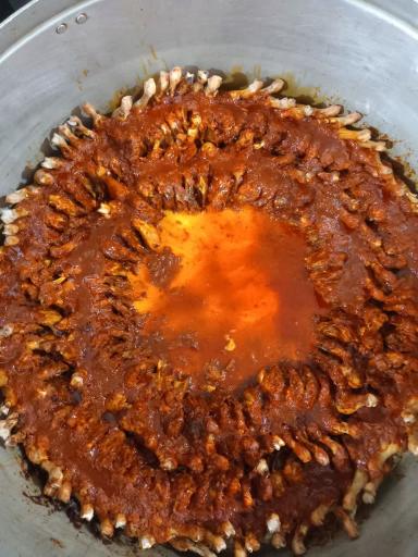 کترینگ و بیرون بر شاه نجف