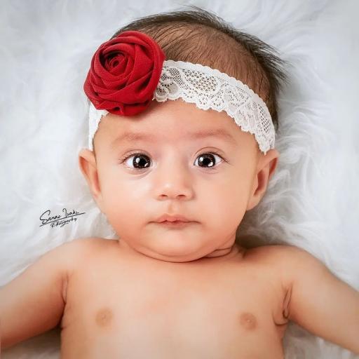 عکس استودیو عکس و فیلم نوتره