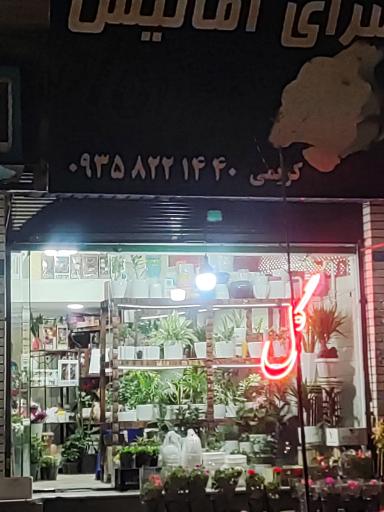 عکس گلفروشی آمالیس