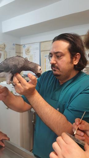 عکس کلینیک دامپزشکی دکتر مشیری