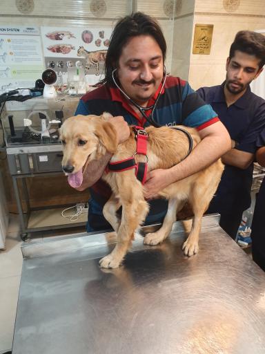 عکس کلینیک دامپزشکی دکتر مشیری