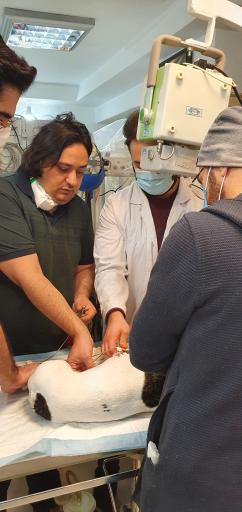 عکس کلینیک دامپزشکی دکتر مشیری