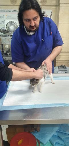 عکس کلینیک دامپزشکی دکتر مشیری