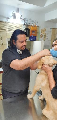 عکس کلینیک دامپزشکی دکتر مشیری