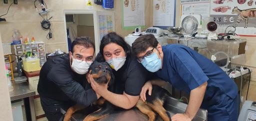 عکس کلینیک دامپزشکی دکتر مشیری