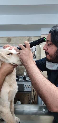 عکس کلینیک دامپزشکی دکتر مشیری