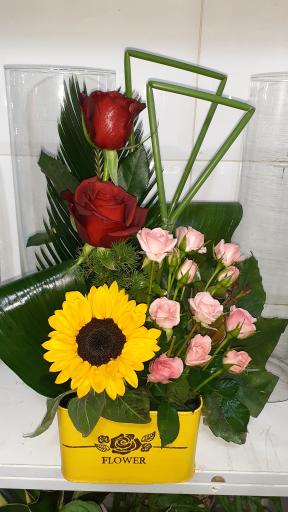 عکس گلفروشی آمالیس