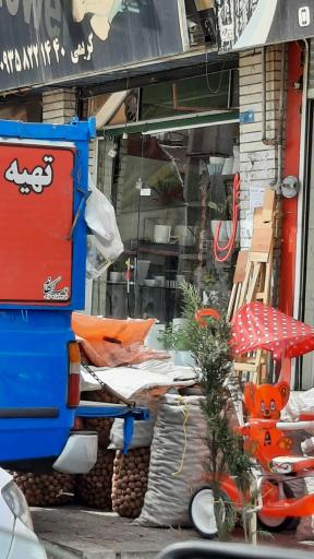 عکس گلفروشی آمالیس