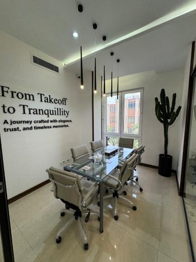 عکس فلای ویرا