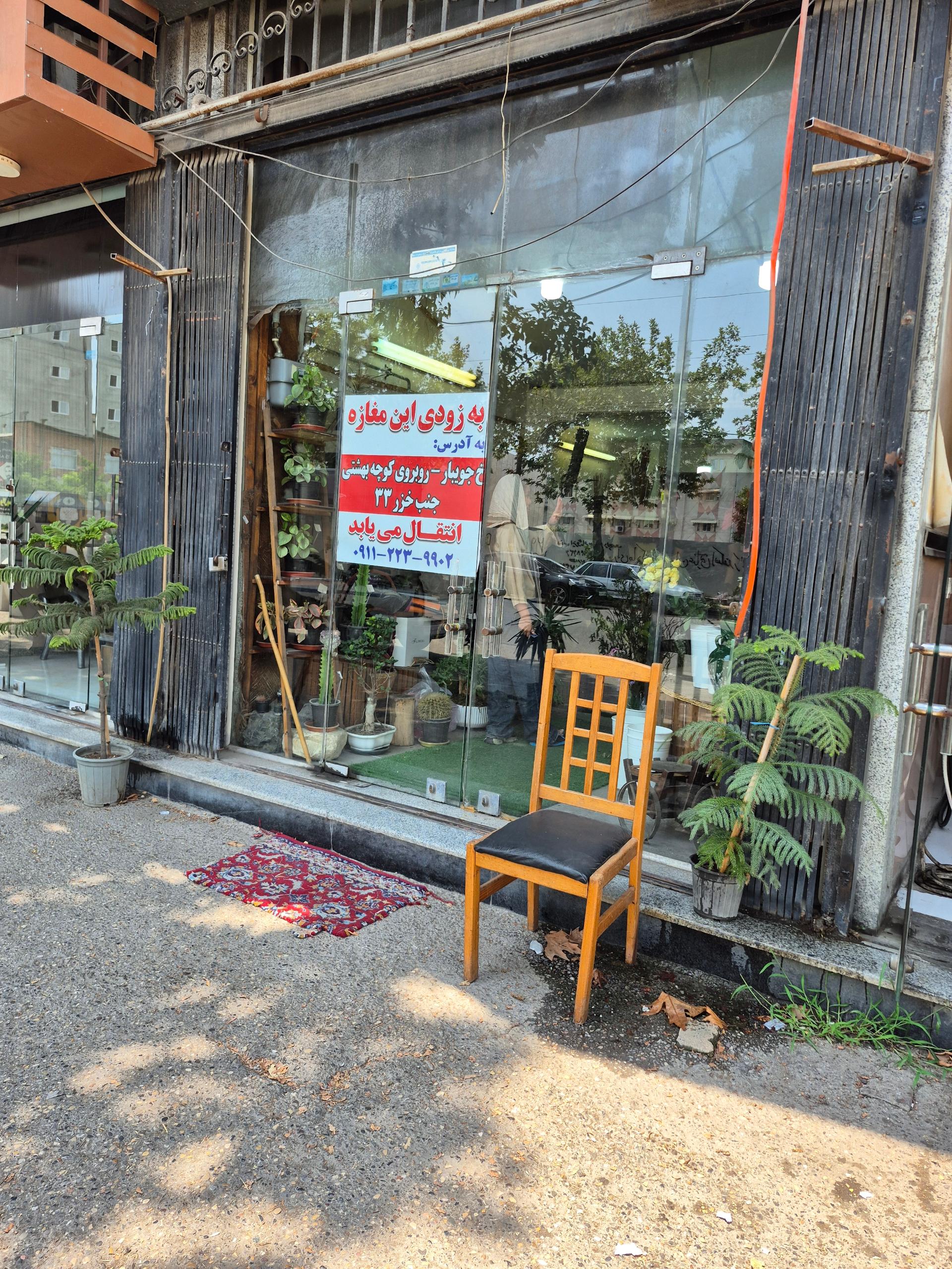 عکس گل کاکتوس