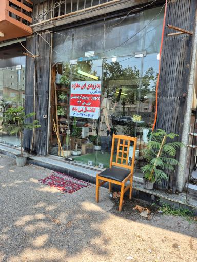 عکس گل کاکتوس