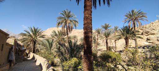عکس نایبند