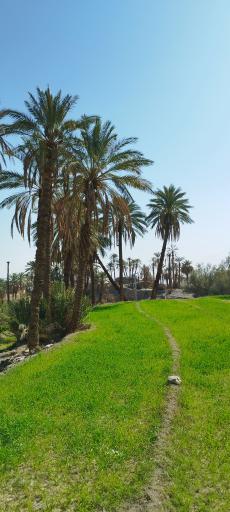 عکس نایبند
