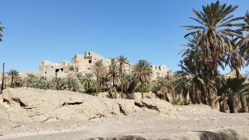 عکس نایبند