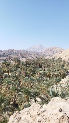 عکس نایبند