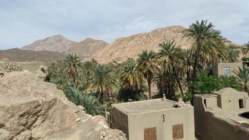 عکس نایبند