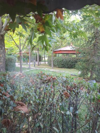 مجموعه تفریحی هویزه (پارک آلاچیق)