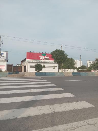 عکس نما چوب رو