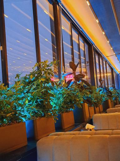 عکس رستوران آسمان