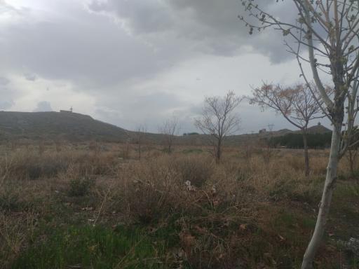 عکس مجموعه تفریحی هویزه (پارک آلاچیق)