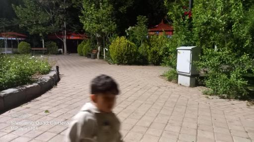 عکس مجموعه تفریحی هویزه (پارک آلاچیق)