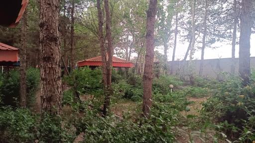 عکس مجموعه تفریحی هویزه (پارک آلاچیق)