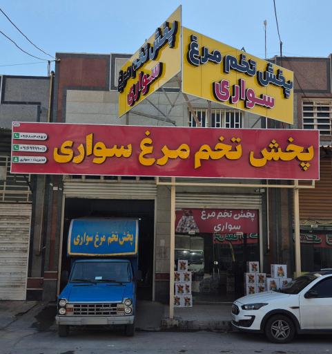 پخش تخم مرغ سواری 